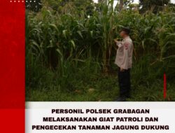 Guna Dukung Ketahanan Pangan Bhabinkamtibmas Kunjungi Perkarangan Warga Desa
