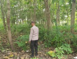 Polsek Kenduruan Polres Tuban Gelar Patroli Hutan, Antisipasi Karhutla dan Bencana Alam di Wilayah Kenduruan