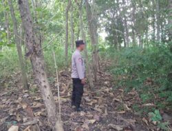Patroli Kawasan Hutan, Polsek Kenduruan Polres Tuban Antisipasi Karhutla dan Bencana Alam