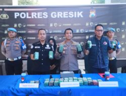 Polres Gresik  Sita 10,8 Kg Ganja di Gudang Ekspedisi