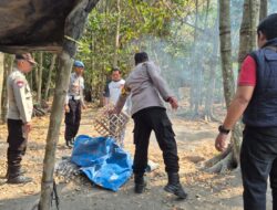 Respon Cepat Aduan Masyarakat, Polres Kediri Bongkar Arena Sabung Ayam di Plosorejo